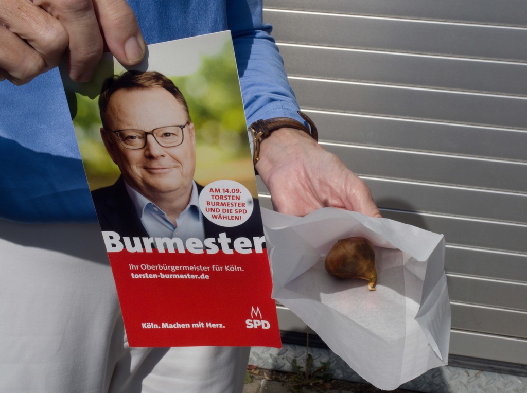 Zum OB eine Tulpe Zum OB eine Tulpe